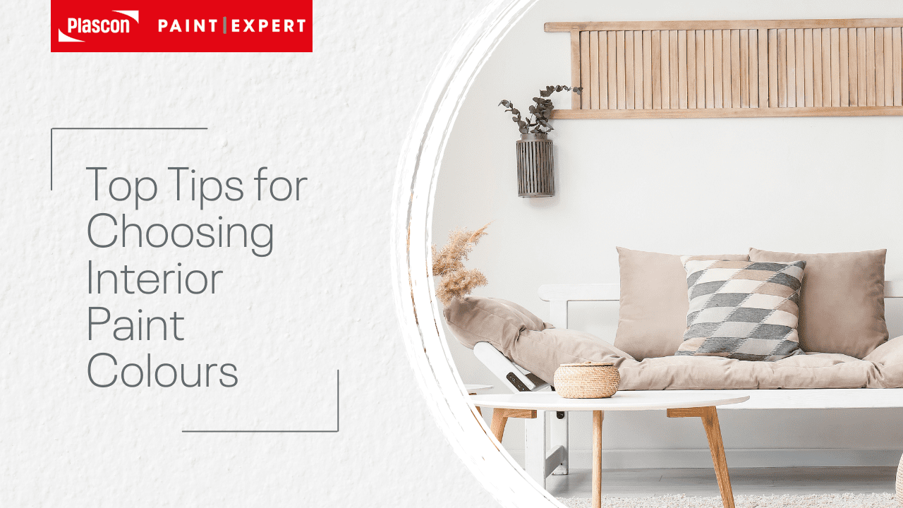 Plascon Paint Expert Tips for Choosing interior paint colours