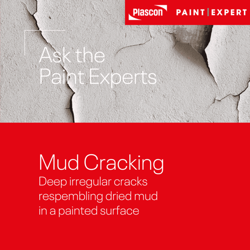 Ask the Paint Experts - Paint Mud Cracking Blog