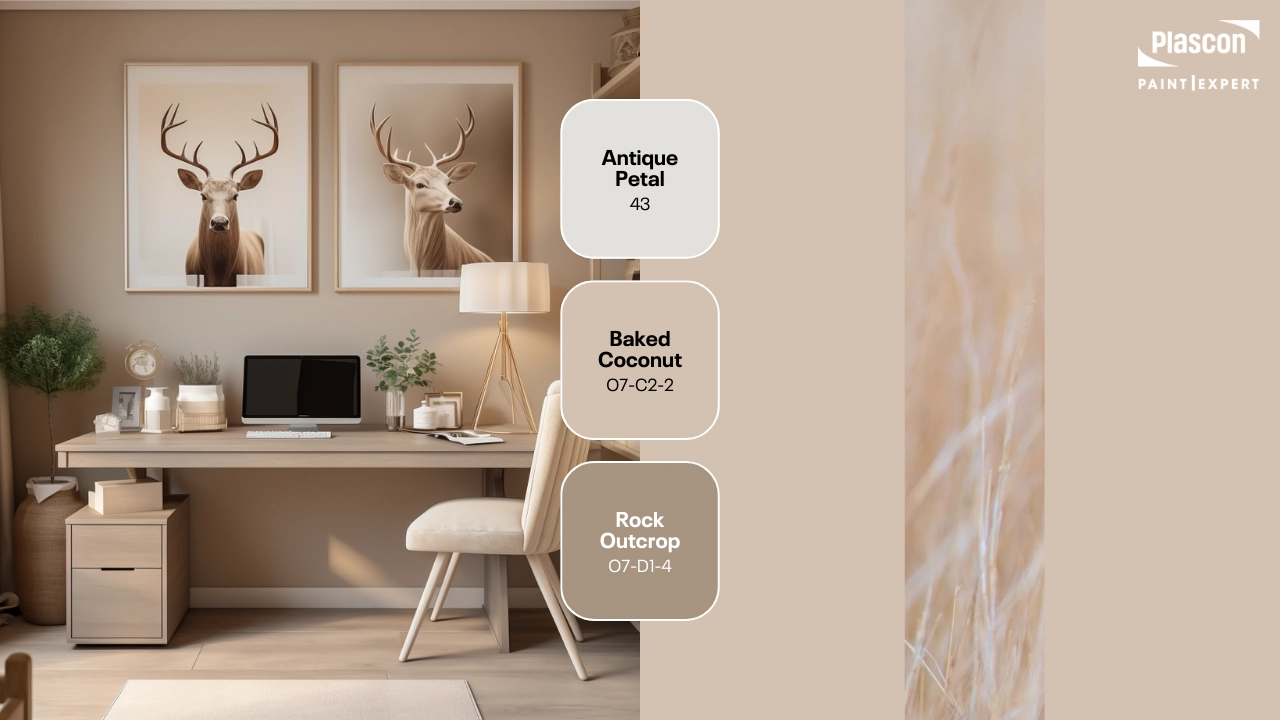 Antique Petal | Baked Coconut | Rock Outcrop