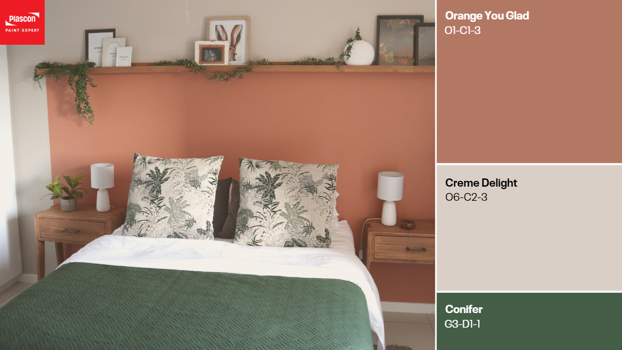 Orange You Glad | Creme Delight | Conifer