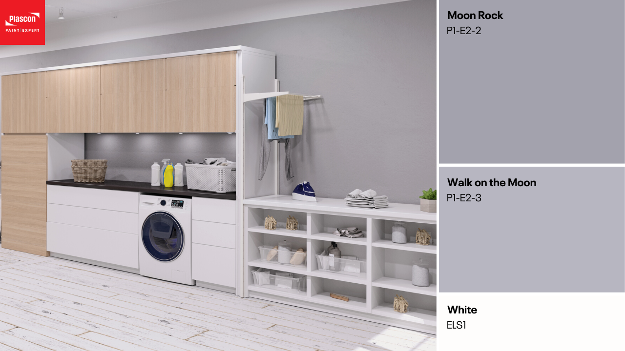 Moon Rock | Walk on the Moon | White