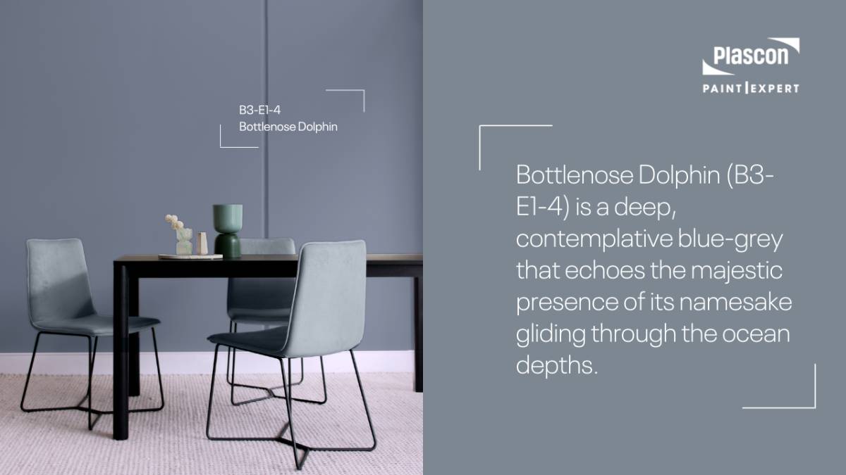 Bottlenose Dolphin