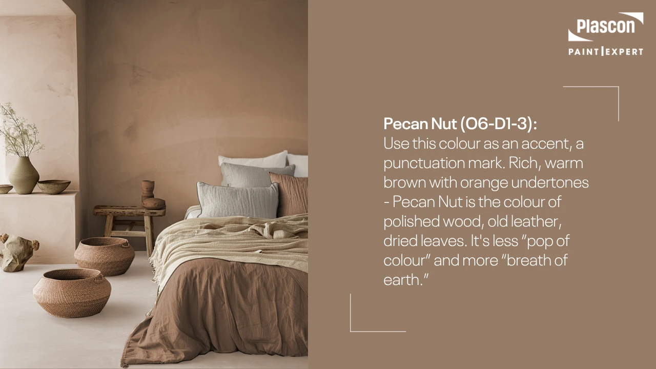 Pecan Nut used in bedroom paint