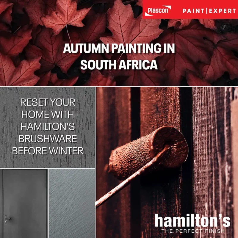Autumn Painting in South Africa - Blog