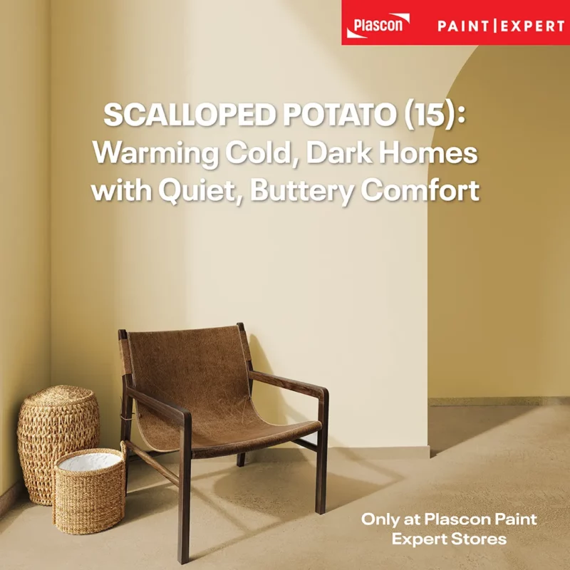 Scallped Potato (15)