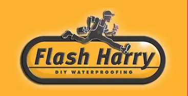 flash-harrywebp