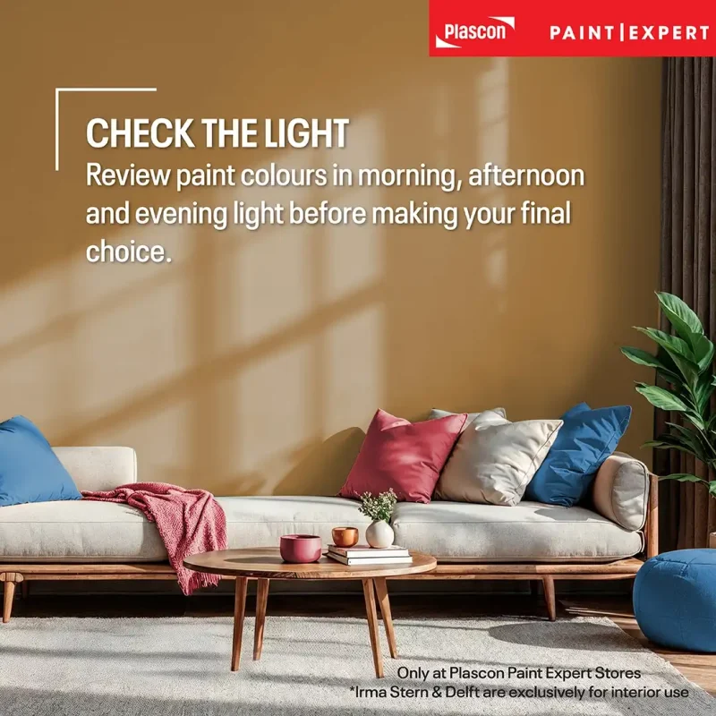 Check The Light